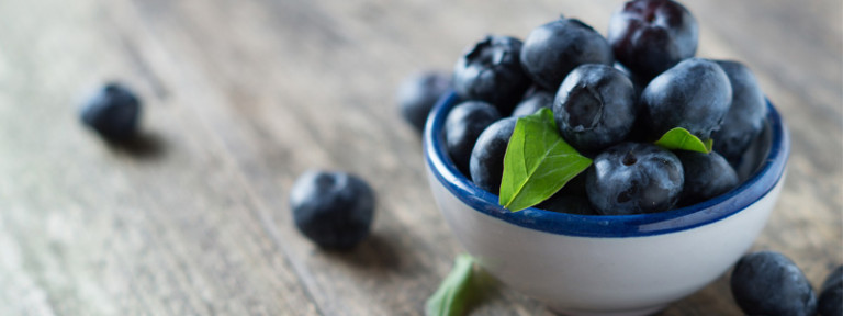 Kućica-bobica-header