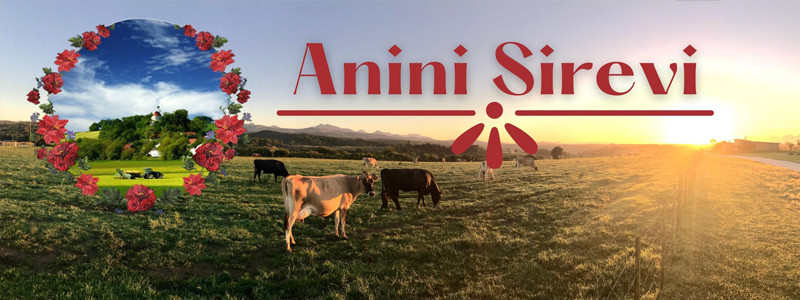 Anini-sirevi-header