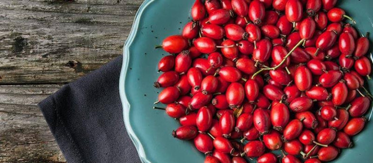 Angies-rosehips-header