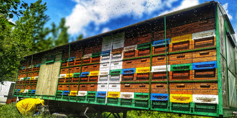 OPG-Kotiscak-header1