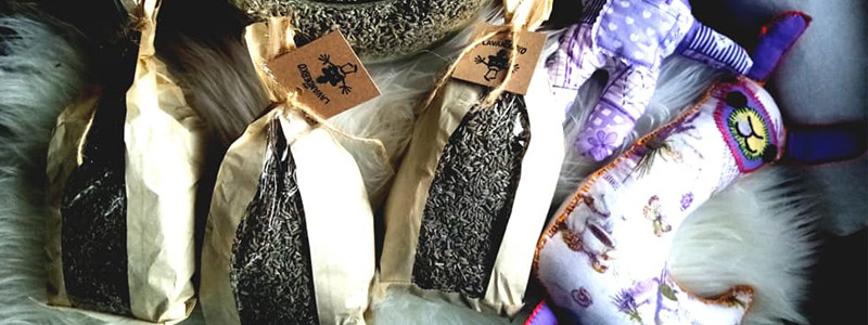 OPG-Lavanderko-header