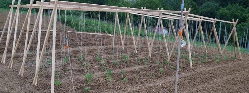 Dobro-mi-dosel-header